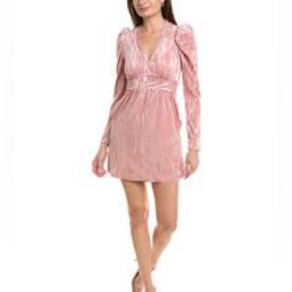 Rachel Parcell Dresses & Skirts - NWT SIZE 4 Rachel Parcell Pink Velvet Long Sleeve Dress